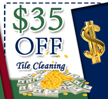 cleaning online coupon