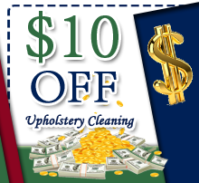 cleaning online coupon